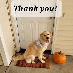 ✨️Thank you!! 🐶🍁🐾